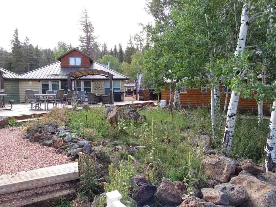 Cabin One at Lazy Duck Cottages